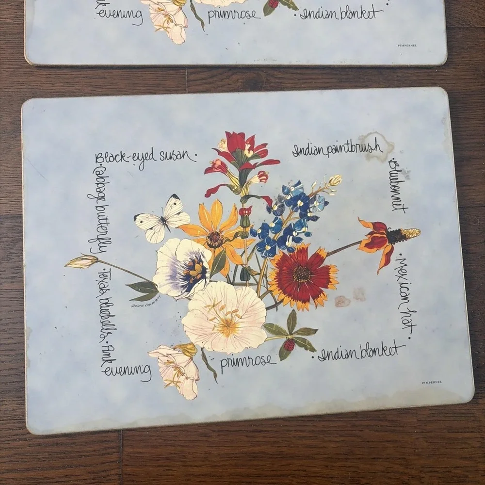 Pimpernel‎ Placemats (4) Southern Texas Wildflowers Wood Cork Used Cottagecore